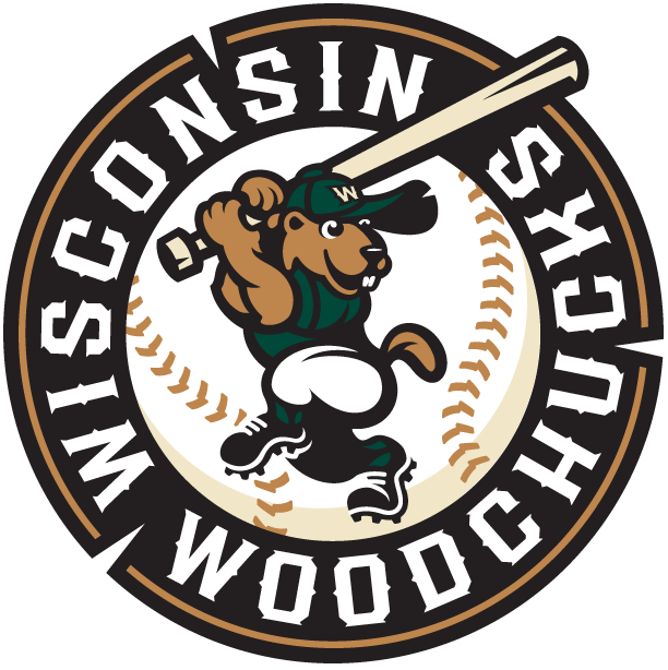Wisconsin Woodchucks 2010-Pres Primary Logo iron on heat transfer
